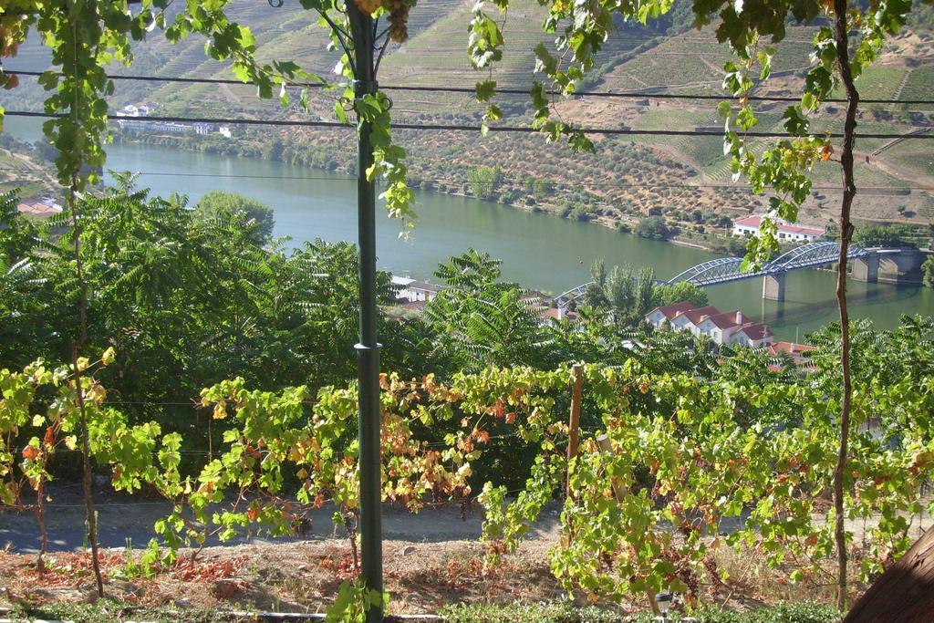 Quinta Da Galeira * Pinhao